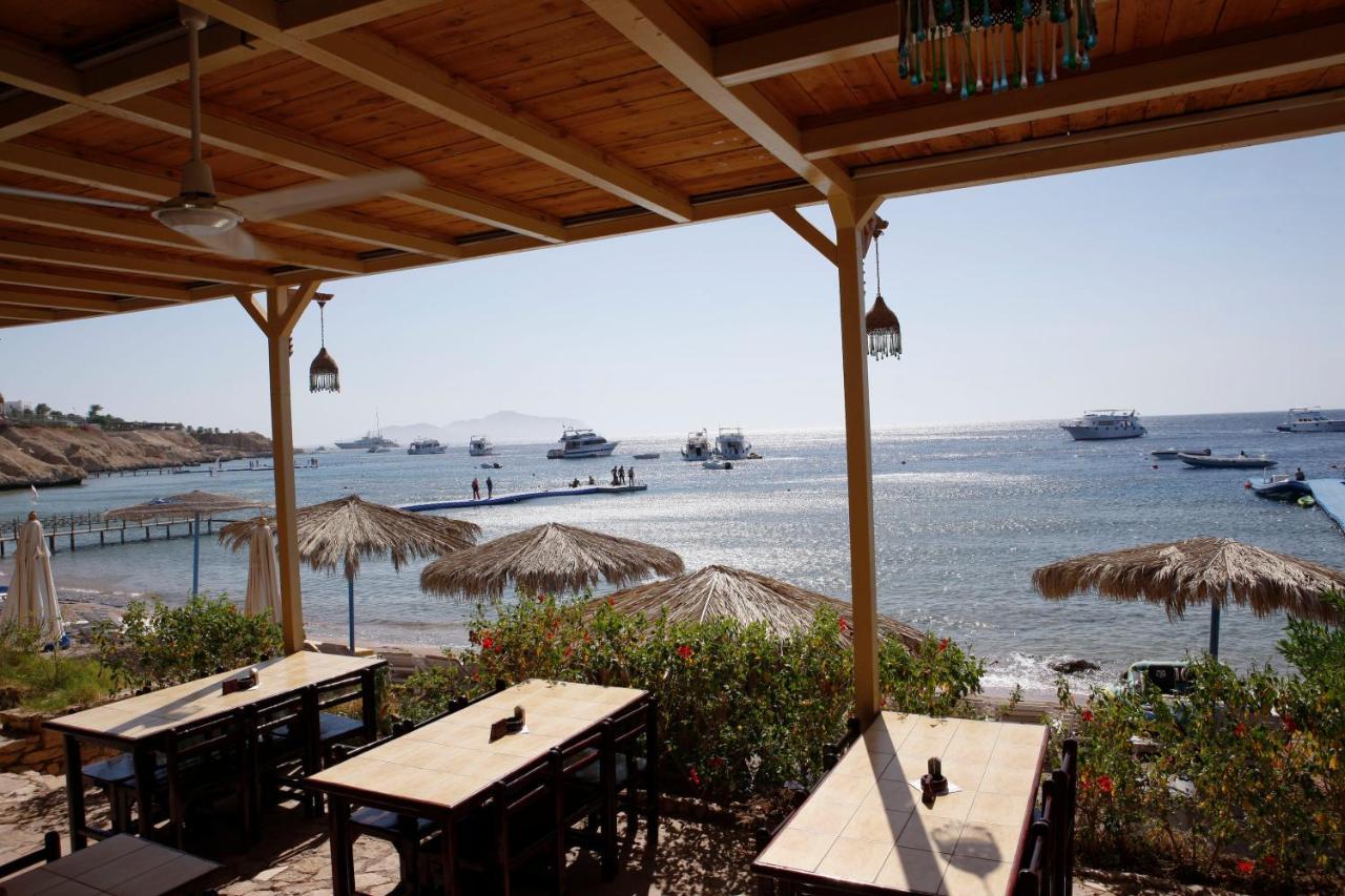 Umbi Sharks Bay Diving Village Sharm El-Sheikh Exterior foto