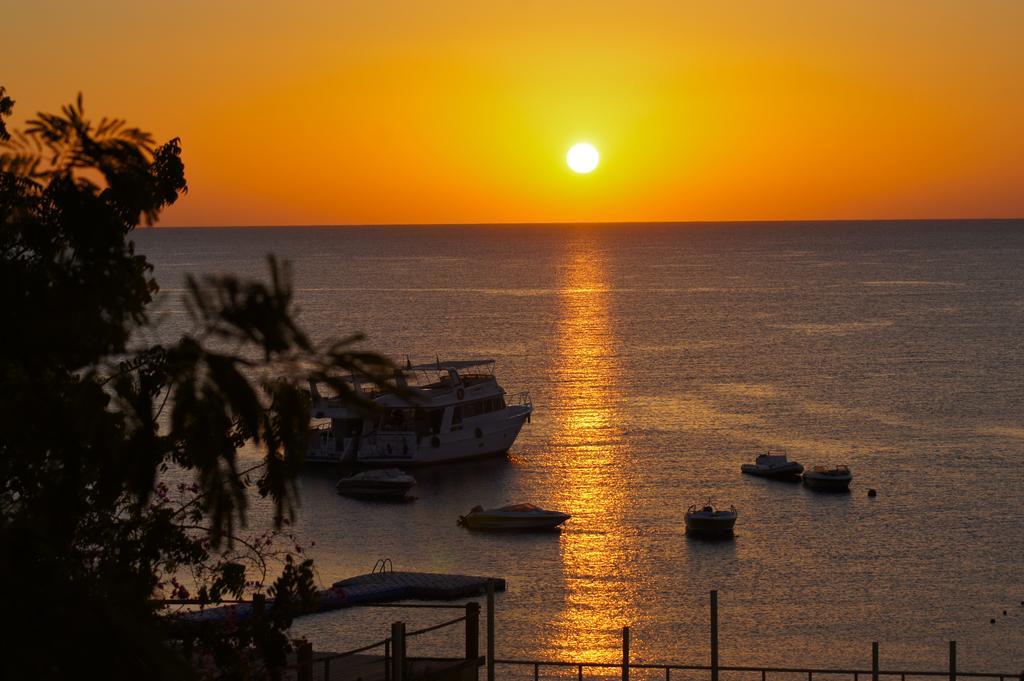 Umbi Sharks Bay Diving Village Sharm El-Sheikh Exterior foto