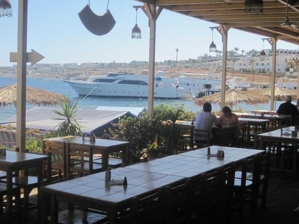 Umbi Sharks Bay Diving Village Sharm El-Sheikh Exterior foto