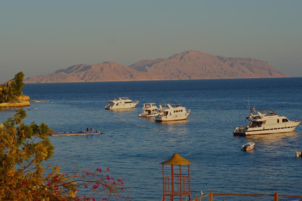 Umbi Sharks Bay Diving Village Sharm El-Sheikh Exterior foto